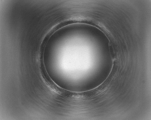X0000076240440200609281144