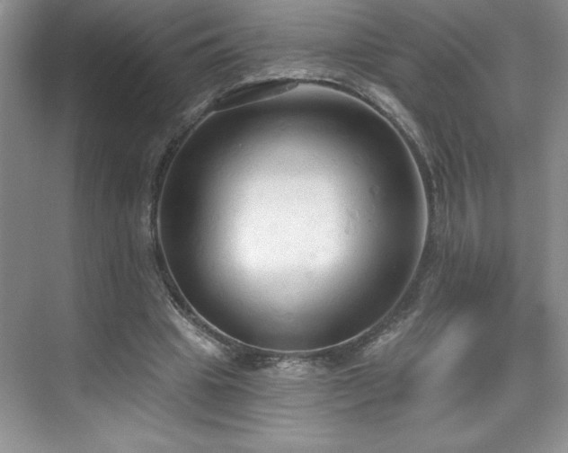 X0000076240441200609281144