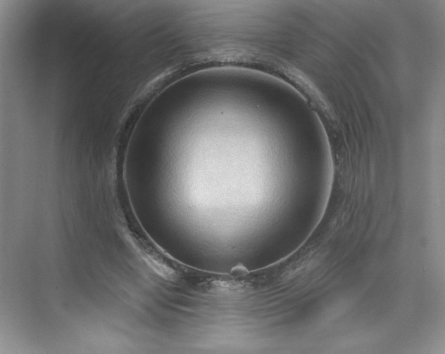 X0000076240442200609281144