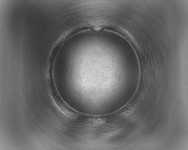 X0000076240443200609281144