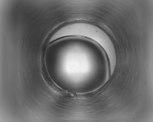 X0000076240444200609281144