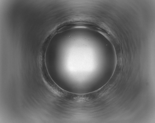 X0000076240448200609281144