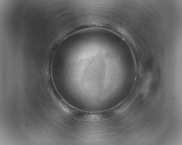 X0000076240449200609281144