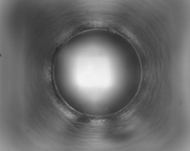 X0000076240450200609281144