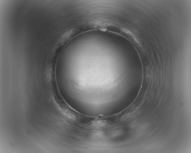 X0000076240451200609281144