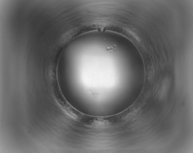 X0000076240455200609281144