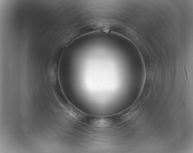 X0000076240460200609281144