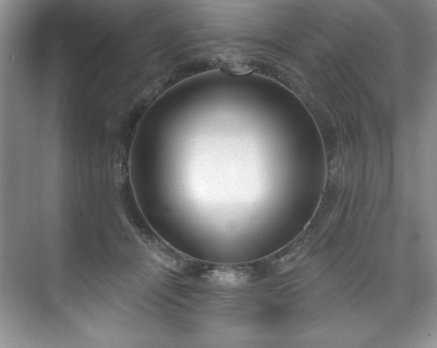 X0000076240464200609281144