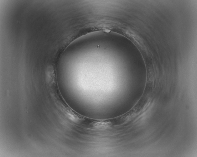 X0000076240465200609281144
