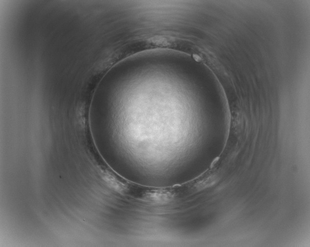 X0000076240466200609281144