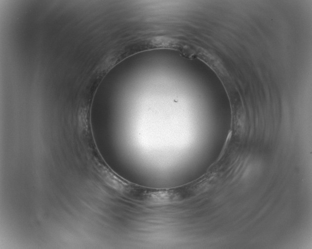 X0000076240473200609281145