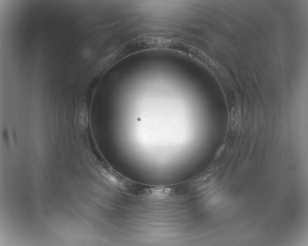 X0000076240474200609281145