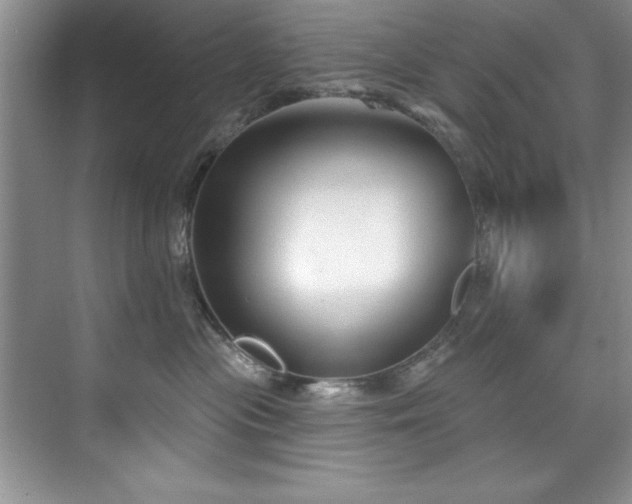 X0000076240477200609281145