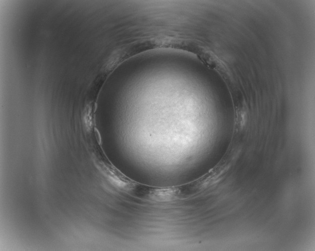 X0000076240479200609281145