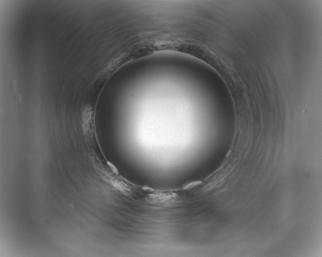 X0000076240480200609281145