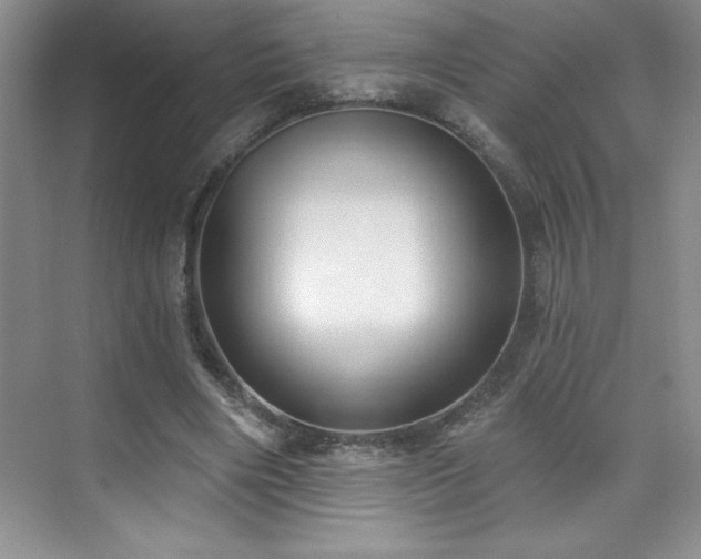 X0000076240490200609281144