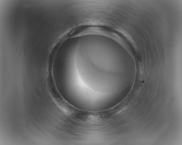 X0000076240496200609281144