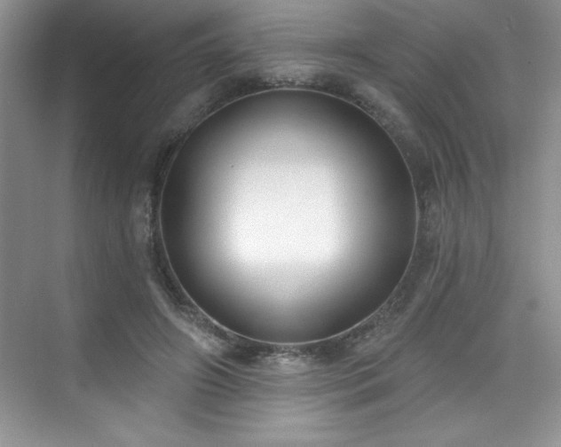 X0000076240498200609281144