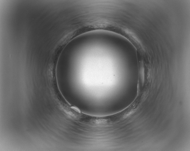 X0000076240501200609281144