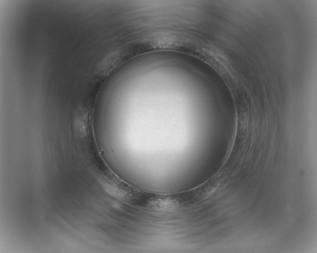 X0000076240503200609281144