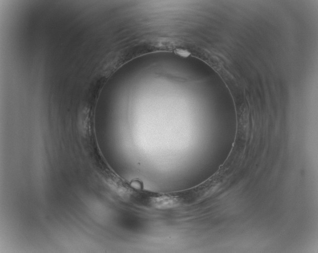 X0000076240511200609281143