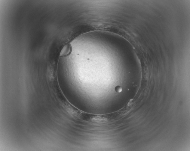 X0000076240515200609281143
