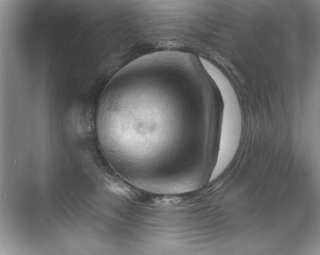X0000076240517200609281143