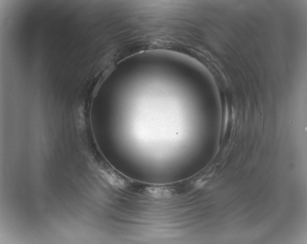 X0000076240520200609281143