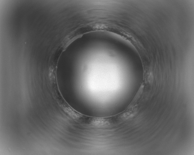 X0000076240521200609281143