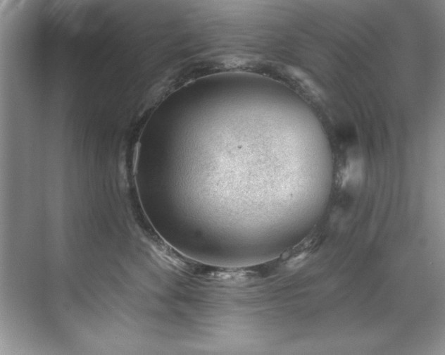 X0000076240524200609281143