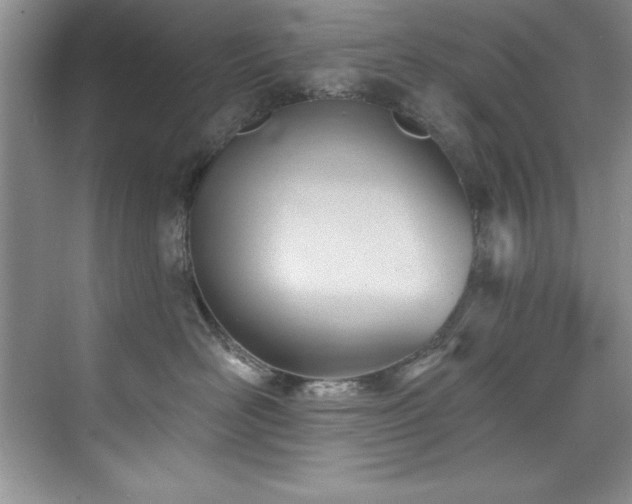 X0000076240526200609281143