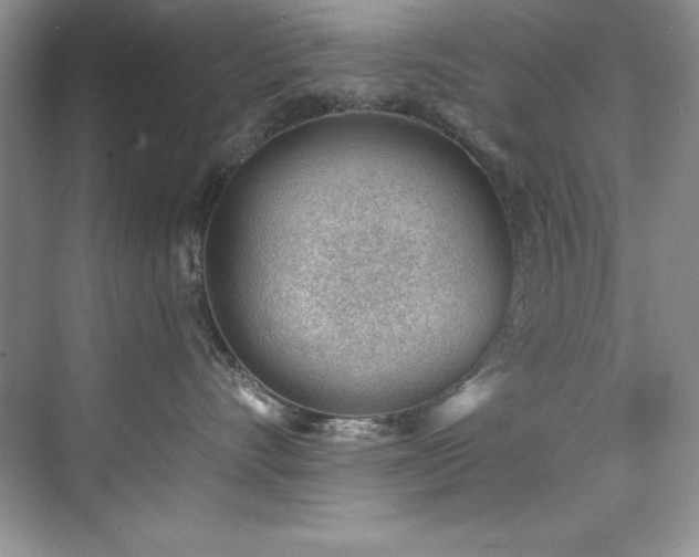 X0000076240528200609281143