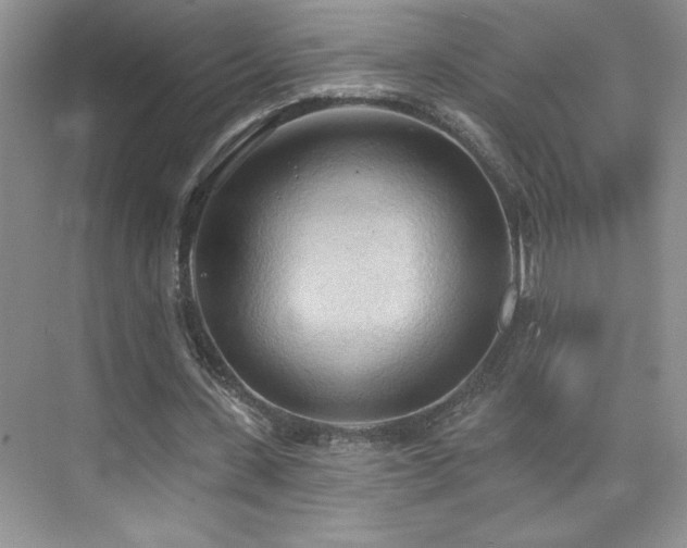 X0000076240531200609281142