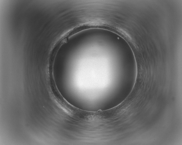 X0000076240535200609281142