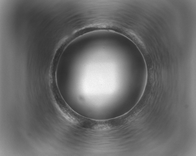 X0000076240536200609281142