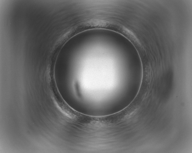 X0000076240538200609281142