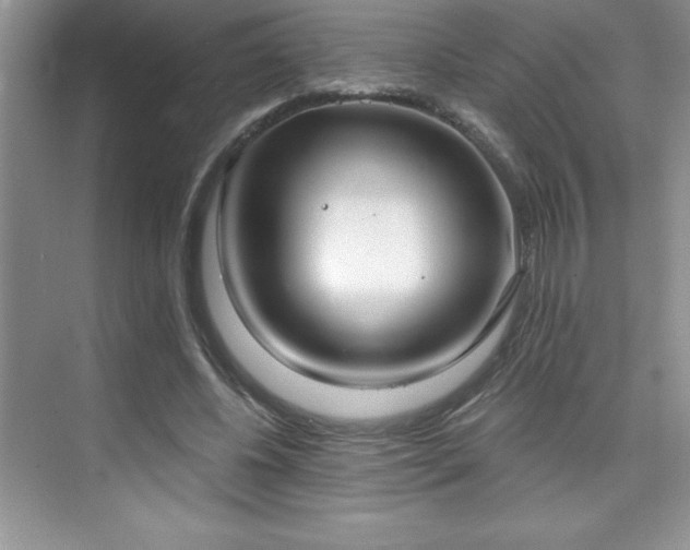 X0000076240540200609281142