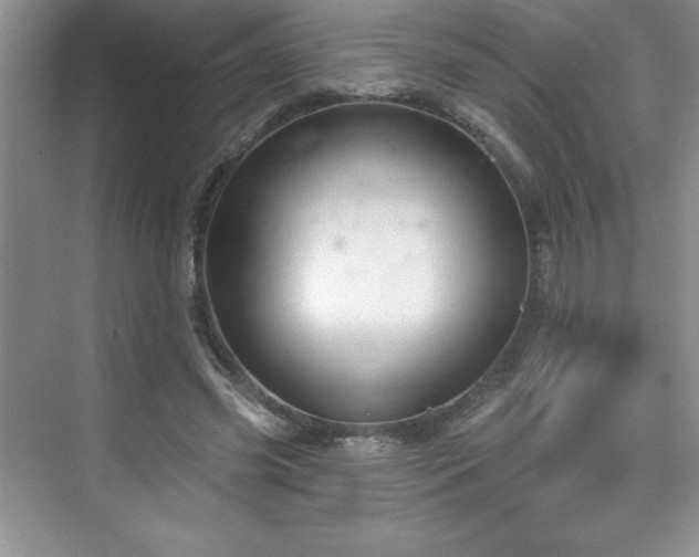 X0000076240541200609281143
