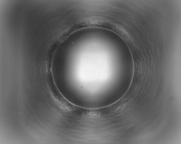 X0000076240546200609281143