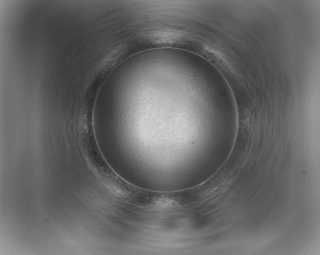 X0000076240547200609281143