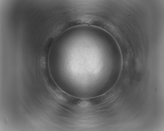 X0000076240551200609281143