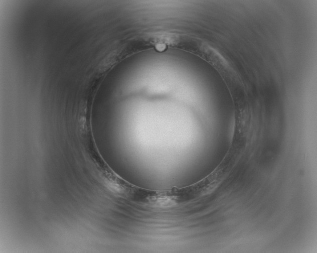 X0000076240553200609281143