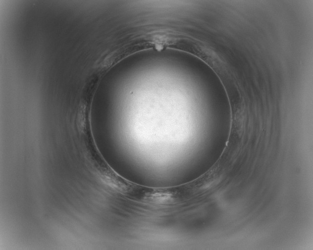 X0000076240554200609281143