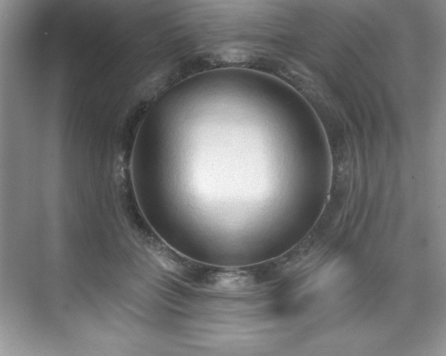 X0000076240555200609281143