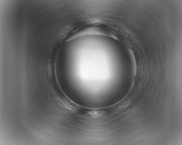 X0000076240558200609281143