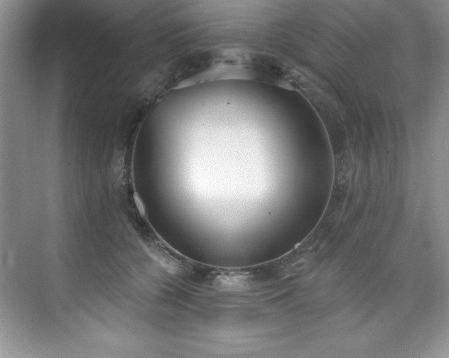 X0000076240560200609281143