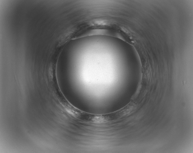 X0000076240562200609281143