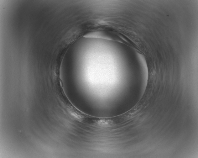 X0000076240566200609281143