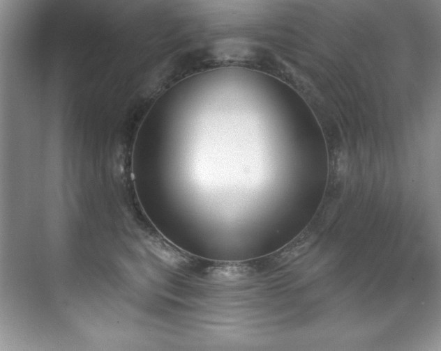 X0000076240567200609281143