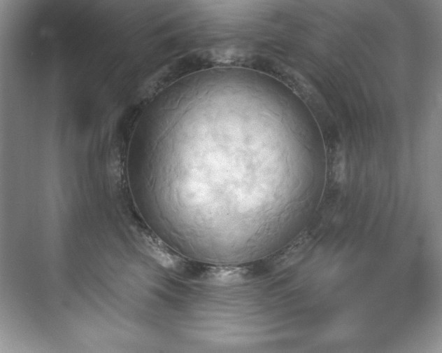 X0000076240569200609281143